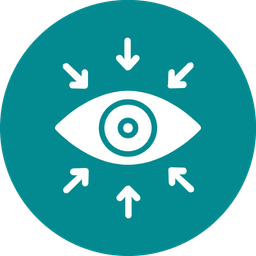 Vision icon
